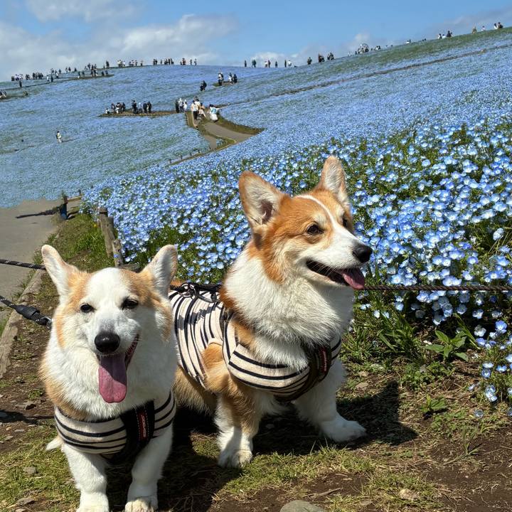 802a97a2 6c99 46c4 ac20 dee7d4706ccd 1776344467707