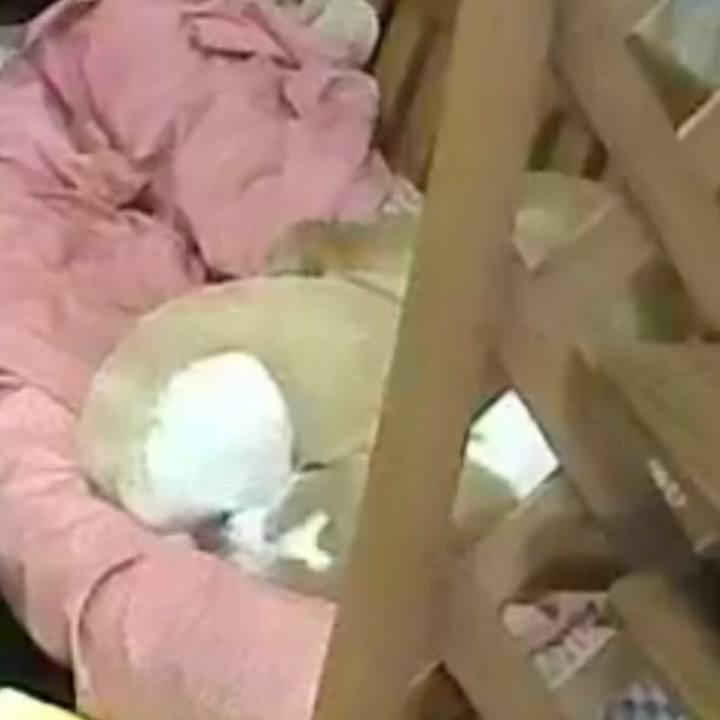 802a9c9d cfdd 4a73 a6c0 2c4c712abd07 1516947066731