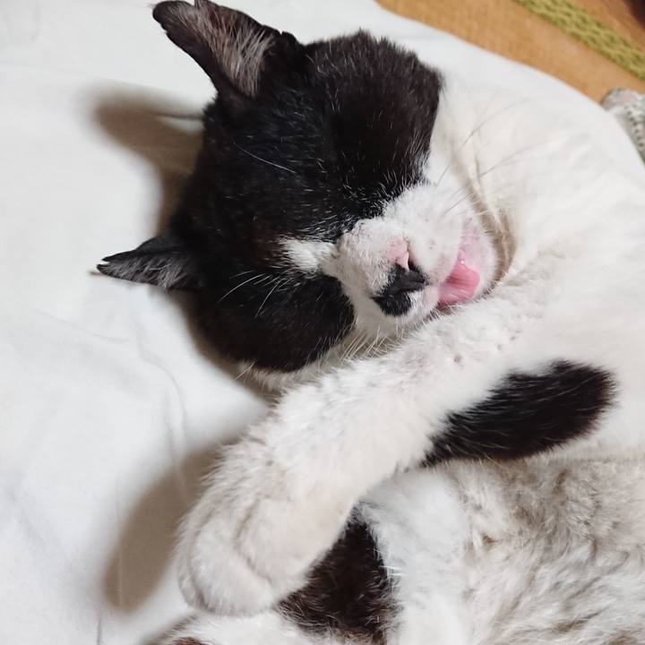 802aa229 1b91 4713 ba32 e8a12c650757 1655376619550