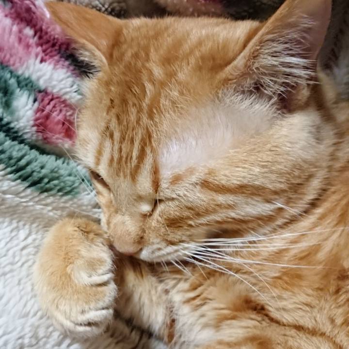 802ab067 a463 4fda b66c 809fd1690645 1644411970632