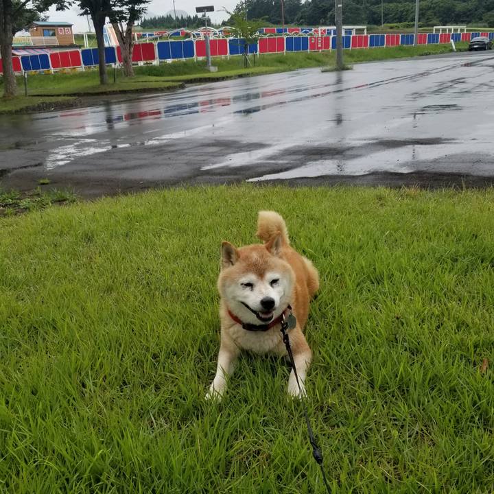 802acaa0 3b24 4de0 a931 b15f3ab50b3a 1724907481552