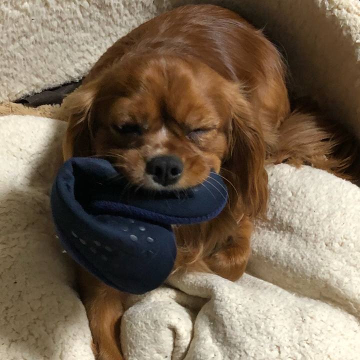 802b13cf 0133 4995 b1fc 78ed07c718d8 1524781654563