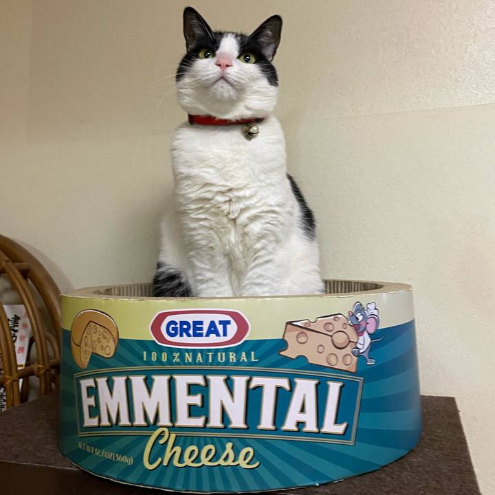 802b1584 6f0a 40e0 829c 9ee851f67d31 1611311180750