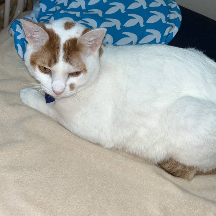 802b71a7 fd11 4802 95de 87048b1950a1 1761667821851