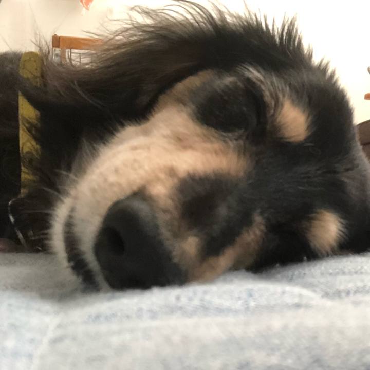 802b9537 337b 4422 8a18 133da3aeee38 1598413555394