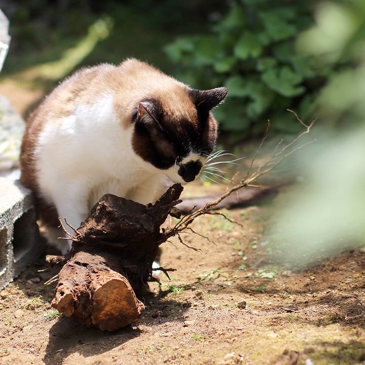 802ba959 339f 4b11 b8e9 f267a41da588 1528889388894