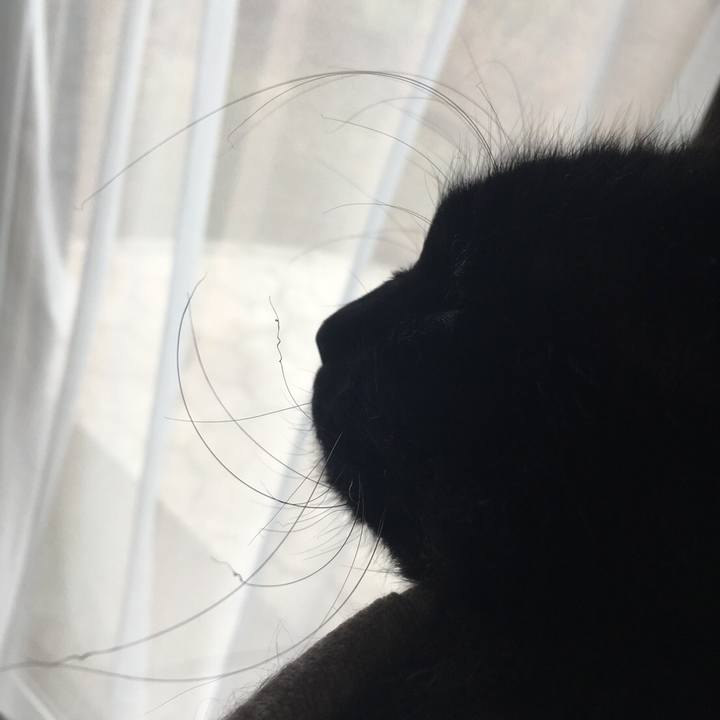 802c1c95 78fd 49a5 8df5 c4315ef35d60 1573620369124