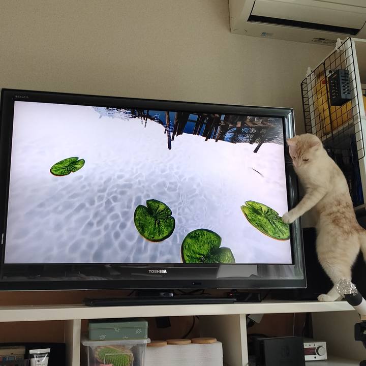 802c1f83 6153 4355 a5e2 b5e77d66b25e 1658704779228