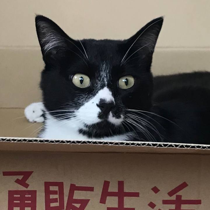 802c2cb0 5bd2 4567 b604 1ae5d732ed08 1628739141761