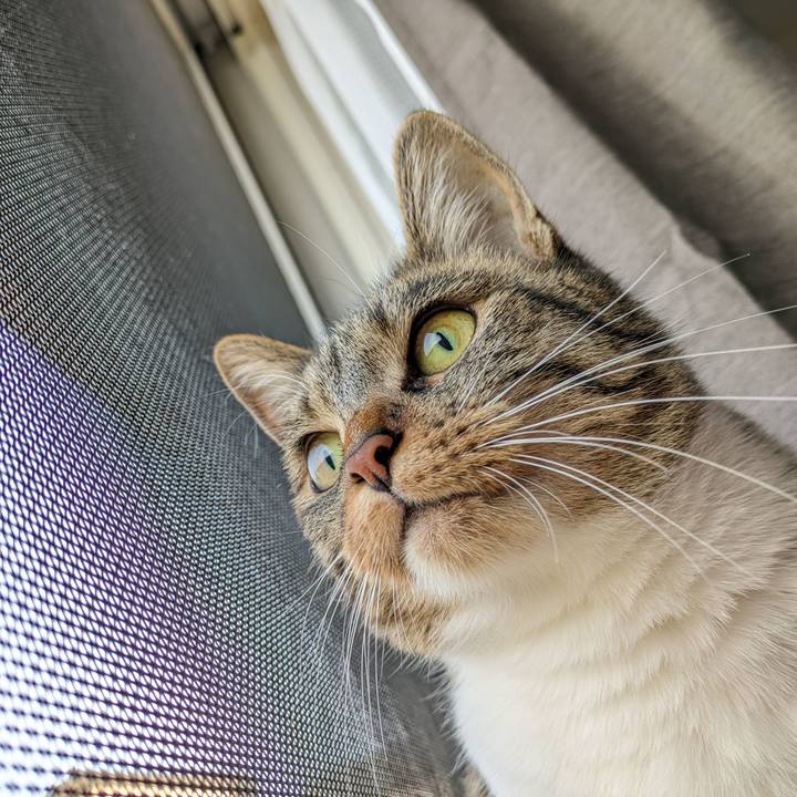 802c4932 3b2e 4416 890c 3cc6f656f75f 1686286372853