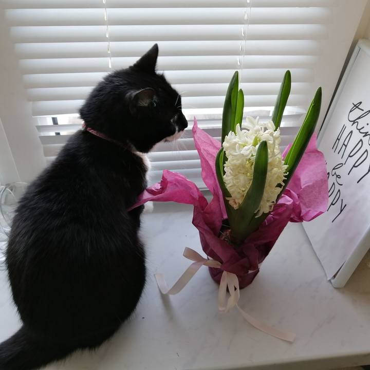 802c4c4b ed62 4a43 889f 55adbee9344e 1583736261296