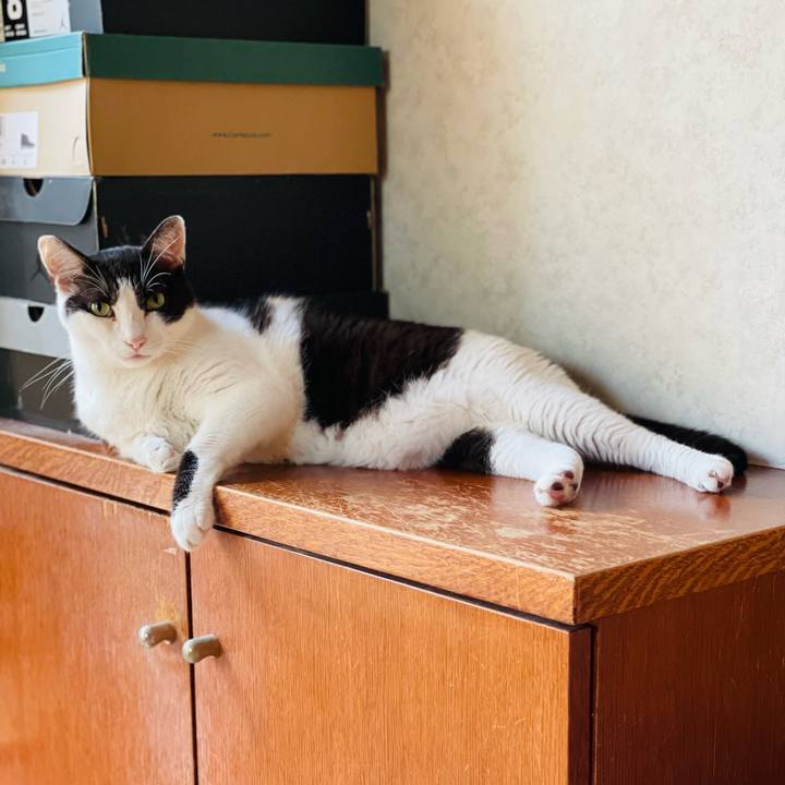 802c8b1d edc5 4af5 a75c b752637f2146 1660866736233