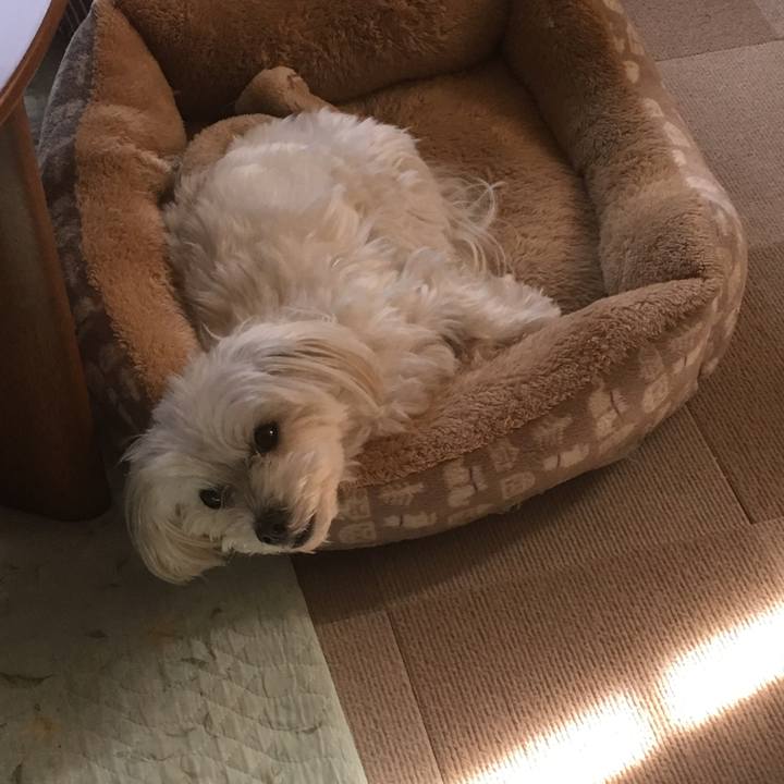 802ca35c a4d5 4f81 81cd 1ab4d81becd7 1524742210138