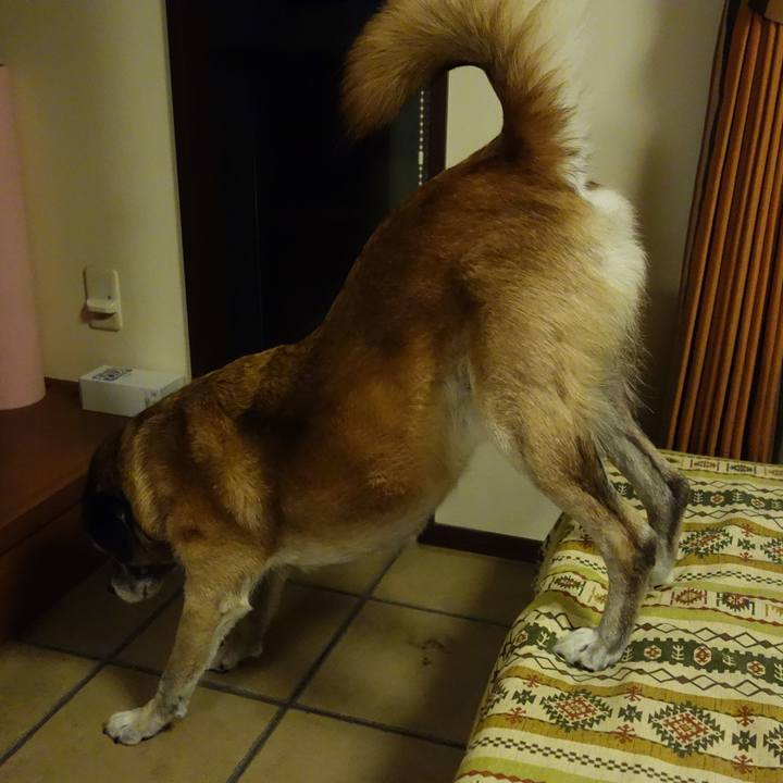 802ca456 9827 46be a7dd 14e0d4cfa83e 1537794484054