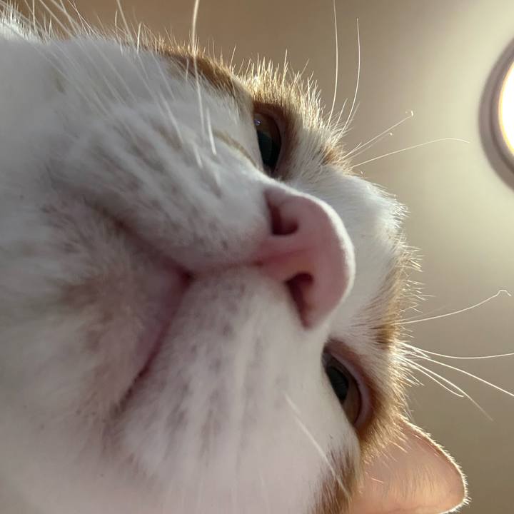 802cbb10 3c9a 475d b685 0b8e274c47af 1769000135176