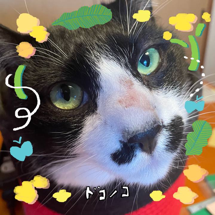 802cd734 24d3 48df a0eb 1dea0812d844 1744720138791