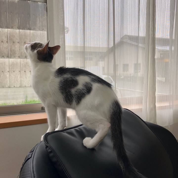 802d3676 4146 408c bed0 7afd14ded538 1566862437968