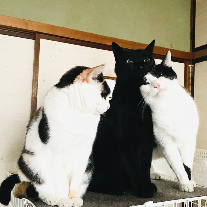 802d376a 5376 47ee 9532 6c0075c5d3bf 1609466011077