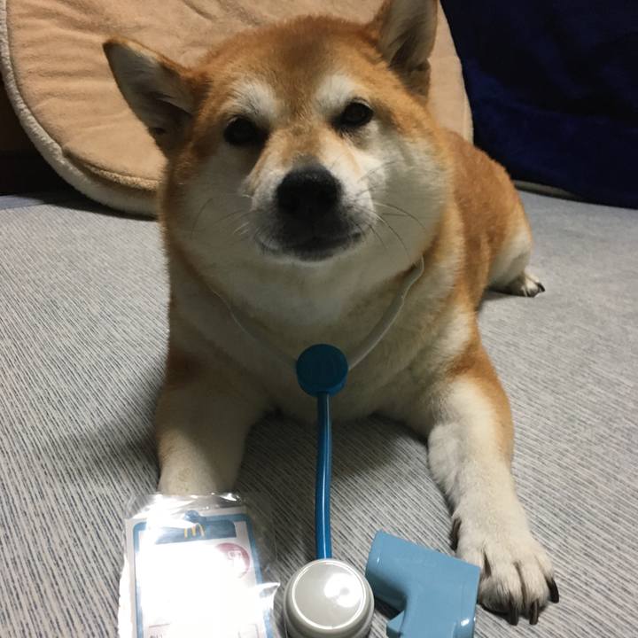 802d5535 83a6 4144 8ad9 8e4d20bcbc34 1629104980134