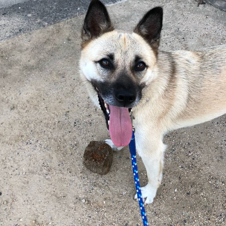 802d5a4d baa6 476e aad6 ae93d6feafb3 1533814850249