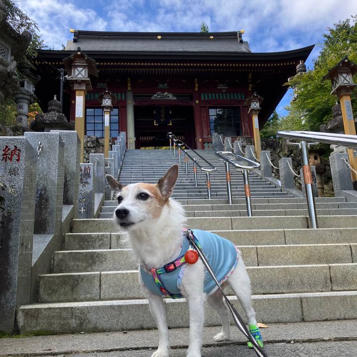 802d5ae9 d3ff 4e10 87fa c3ad67e197d1 1729639186030