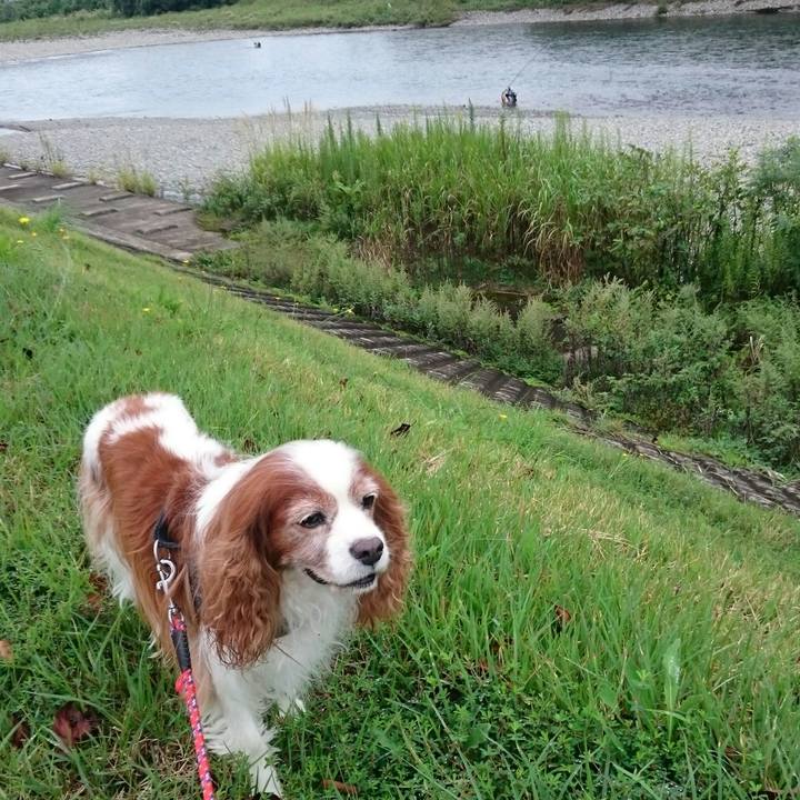 802d5d0d 0006 444f b523 74b9db64e0f5 1568776680853