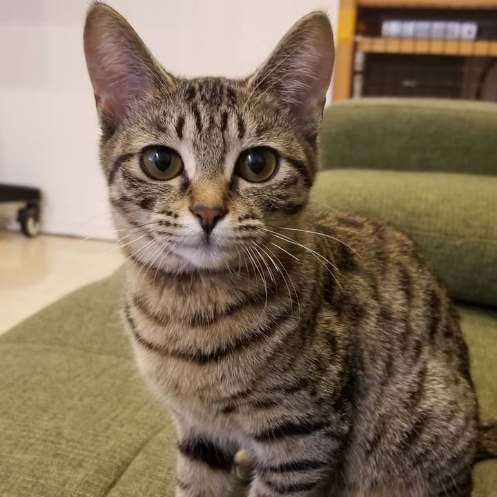 802d9496 b2ed 4110 b656 228835abd3c8 1545391565860