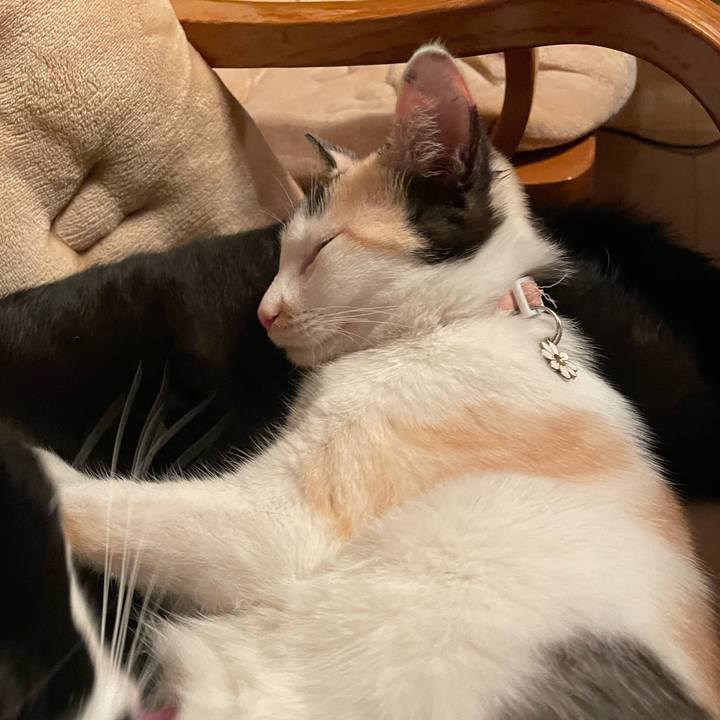 802d9d3d 7ff0 46af 80d3 cd4b57c07e95 1679665035539