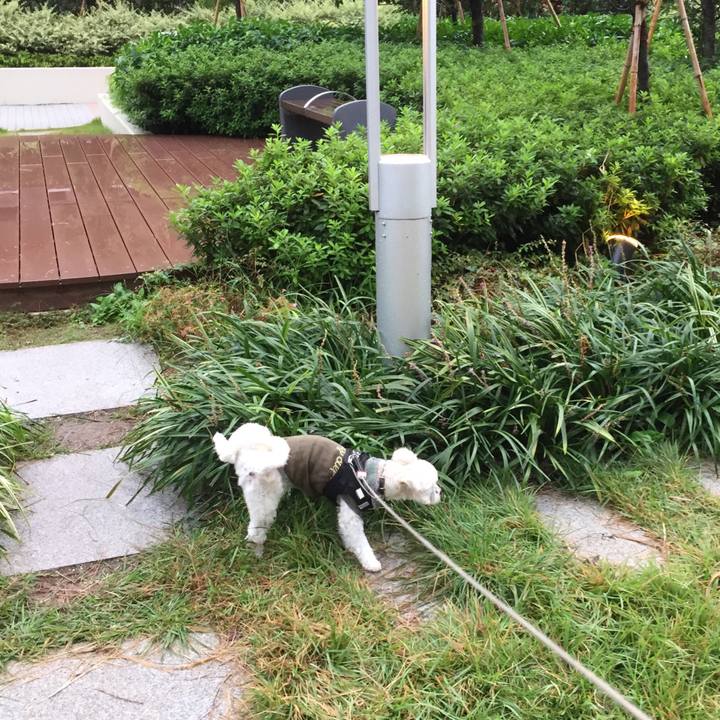 802dac97 85cf 4870 902d 16edfb2ceb98 1508057558403