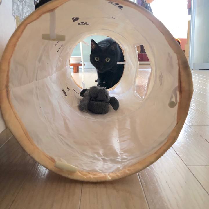 802dbd6e 1098 44c2 8ba0 f59b724f4dff 1558264332023