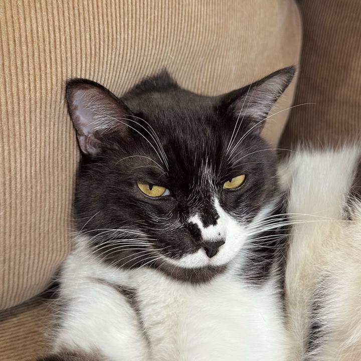 802de182 799e 4396 922c d16ca0281175 1767496009371