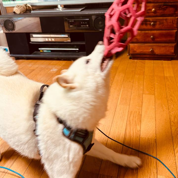 802dee14 929d 4513 8984 74b9b22cbfa4 1722559819383