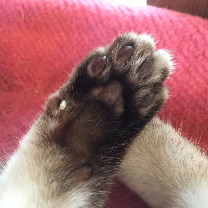 802df123 e2ad 48a8 a651 989a343df7c9 1535876931415