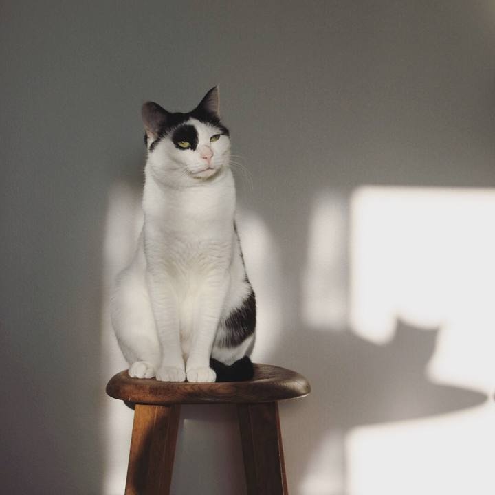 802df37b ee6e 4e2b 88e2 491578590459 1549178774270