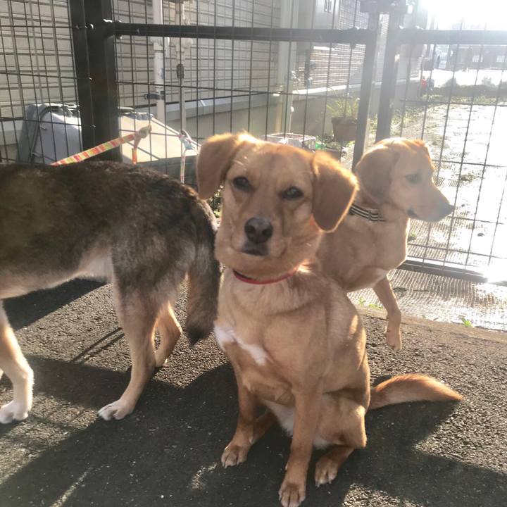 802e2676 3bca 4b49 94c2 de669045c971 1553169113072