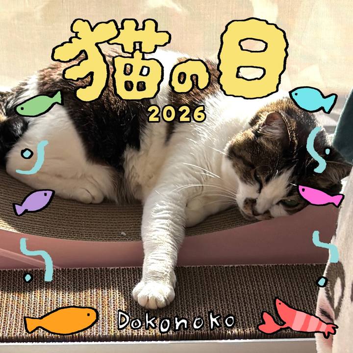 802e465f 9374 4245 b2b8 0d317f6735be 1771723634696