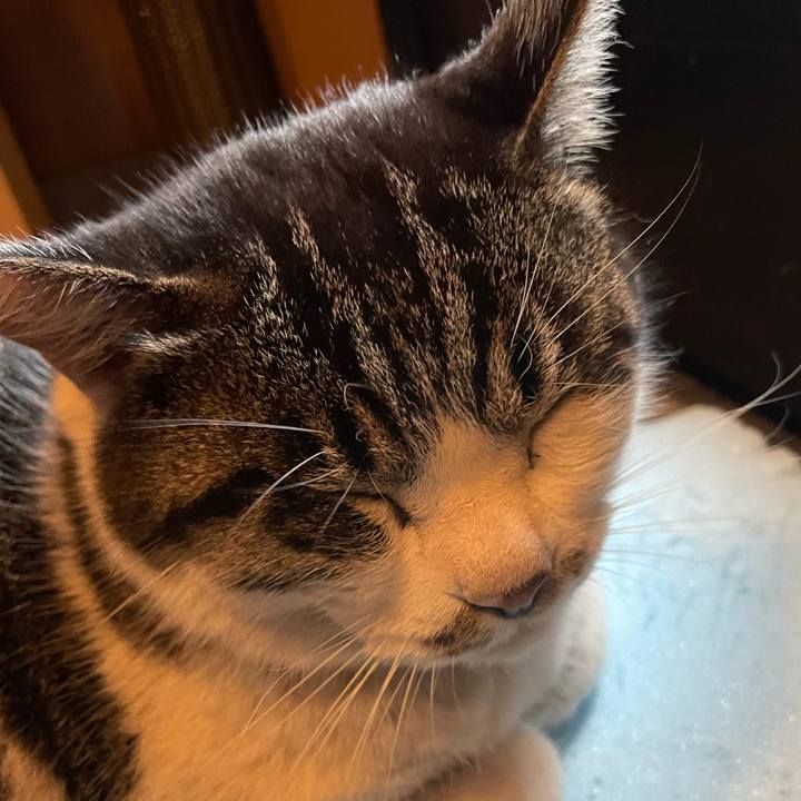 802e5b3f d3fa 4465 a7d1 5367686e4424 1612226432241