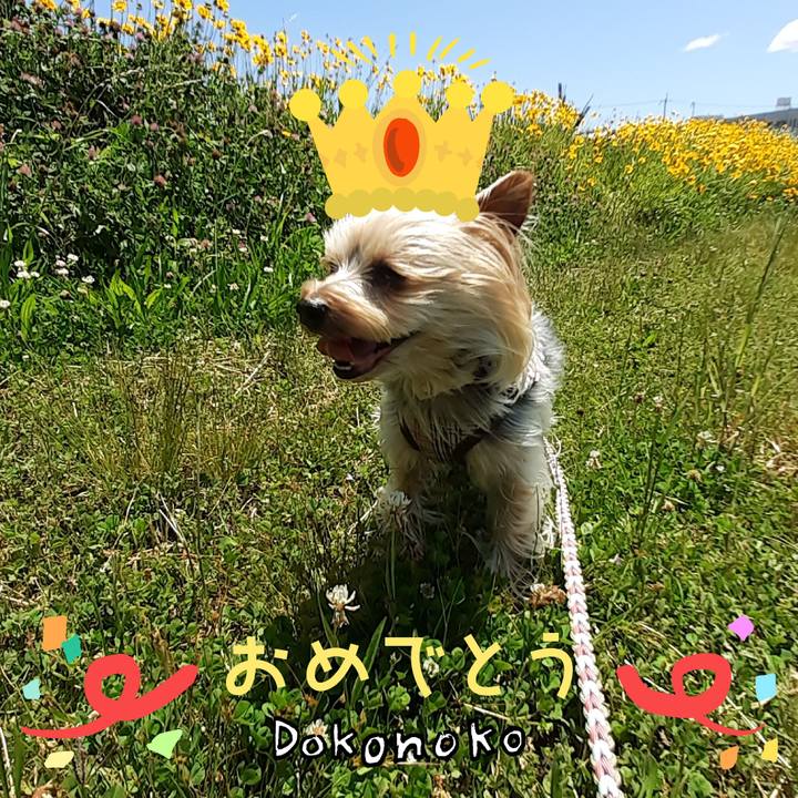 802ec39e 9ac9 43d0 818a 94d4394eada5 1685931123782