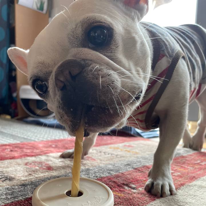 802ec3f0 e433 47dd 8618 a0099683bdde 1739667939162