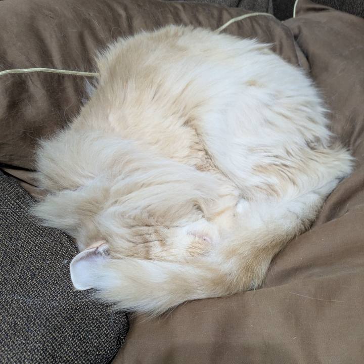 802eca86 ab95 4b1b aabf 5bffd98f3c5a 1775226183982