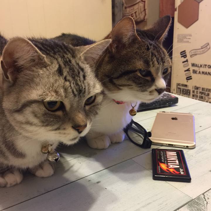 802ed841 66f3 4e00 a82b 4bb166f6f92f 1555860192099