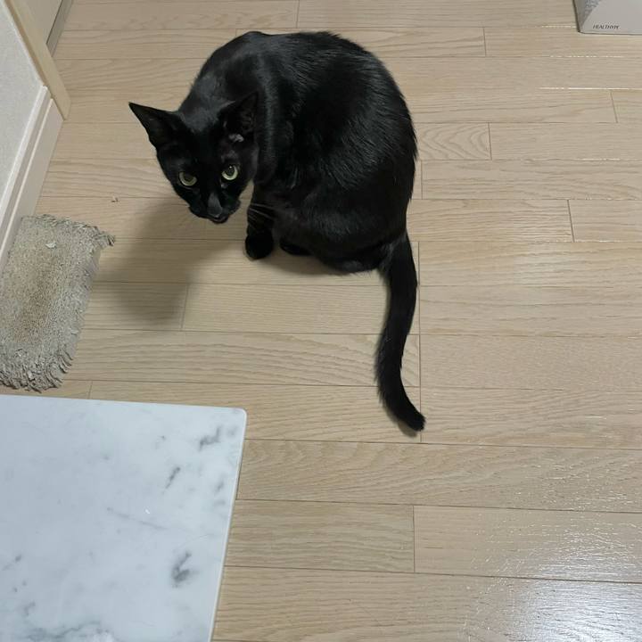 802efa44 3d8f 4d35 847a 9605ef744a8f 1661087355518