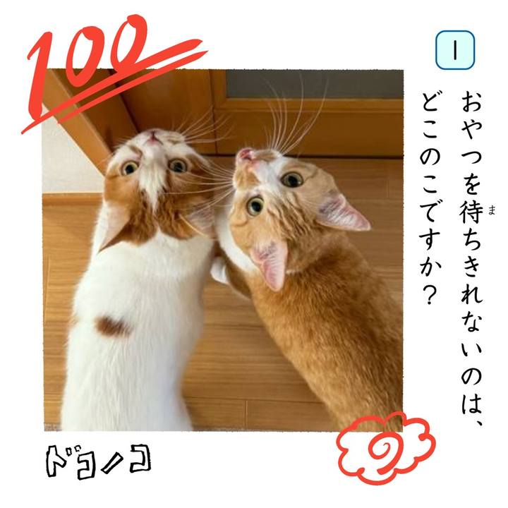 802f0c34 3f26 4f18 9b0b 01b3d1036a98 1744337500253