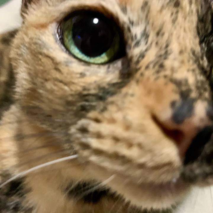 802f1bd4 97b6 47af 9797 cf8cbcf94ff4 1732888474091