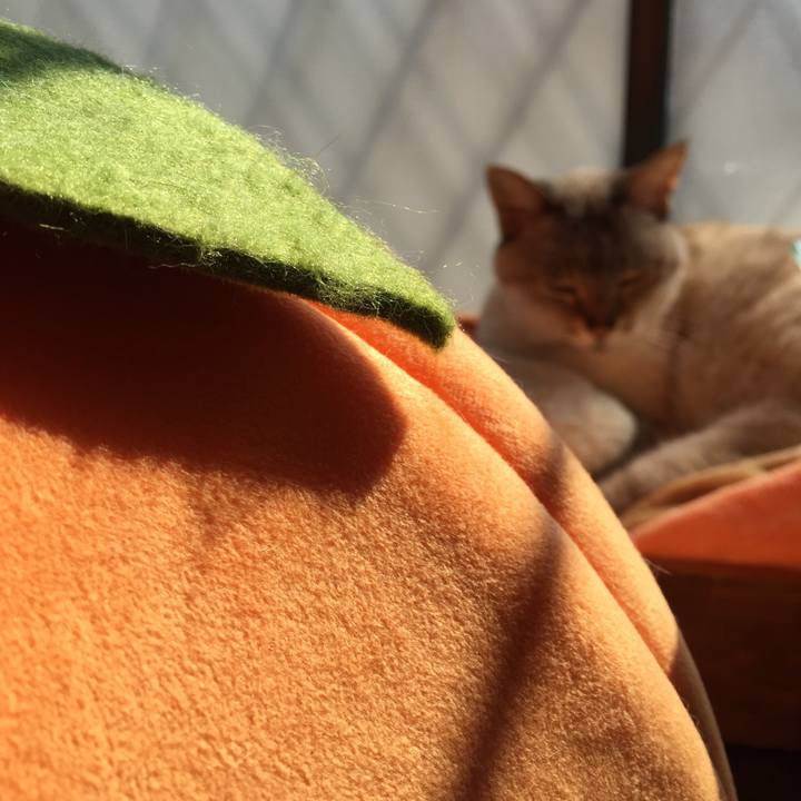 802f2aa3 0456 4655 8f2c ebf0b66d24fd 1518063348283