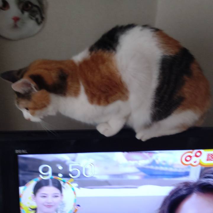 802f30d5 b8fc 4529 b890 900f17747bbf 1695430642083