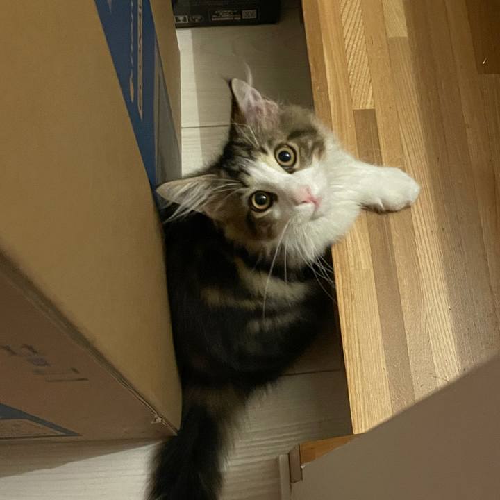 802f3bd5 63de 4e43 a739 4af253abb087 1634811122791