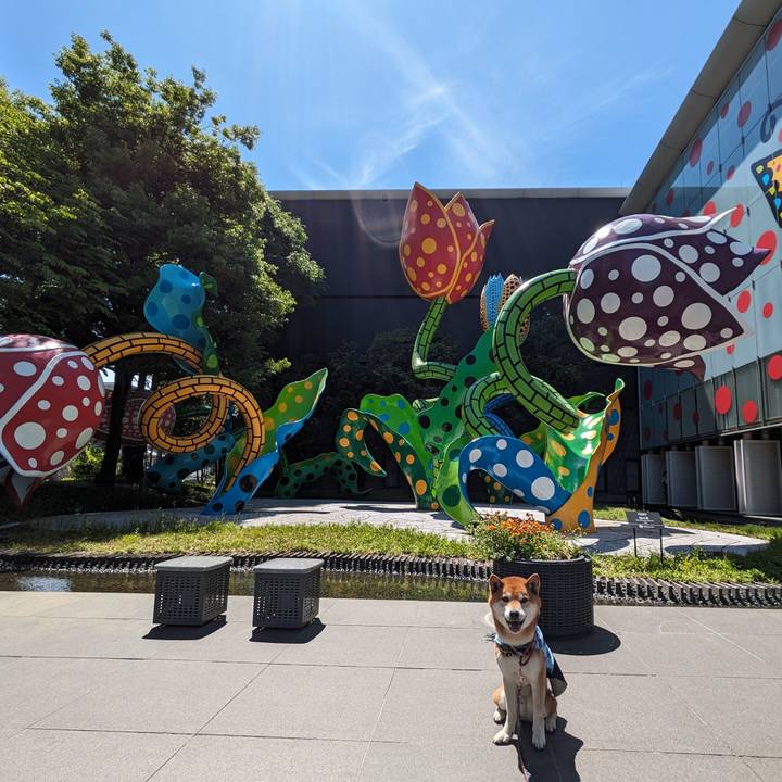 802f55d8 11fc 4b7f 9585 bc06aec6b05a 1716760648981