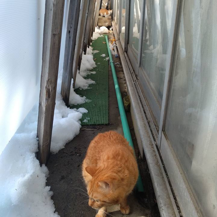 802f9035 446f 463d 864f f959c6971427 1737444638581