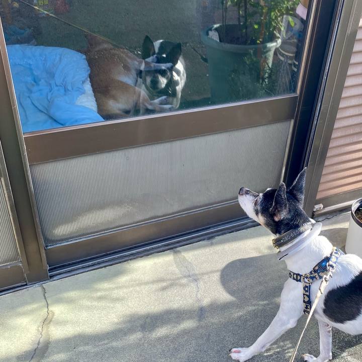 802faaaf 3412 4bc0 a84b ef069399e703 1628640417161